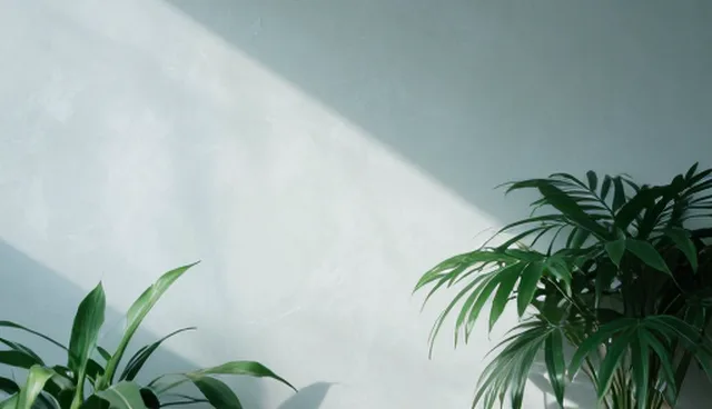 技术转让选型中的使用场景与维护建议